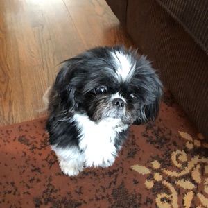 Meet your Posher, Anna